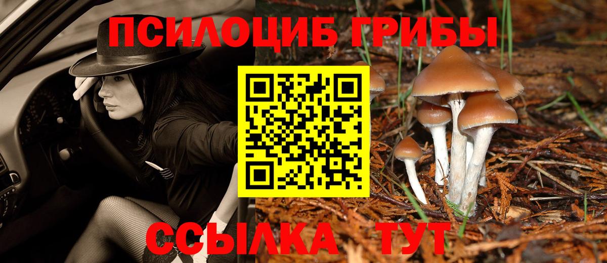 купить наркоту  Галлюциногенные грибы Psilocybe  Ейск  Вход с VPN  Галлюциногенные грибы GOLDEN TEACHER 