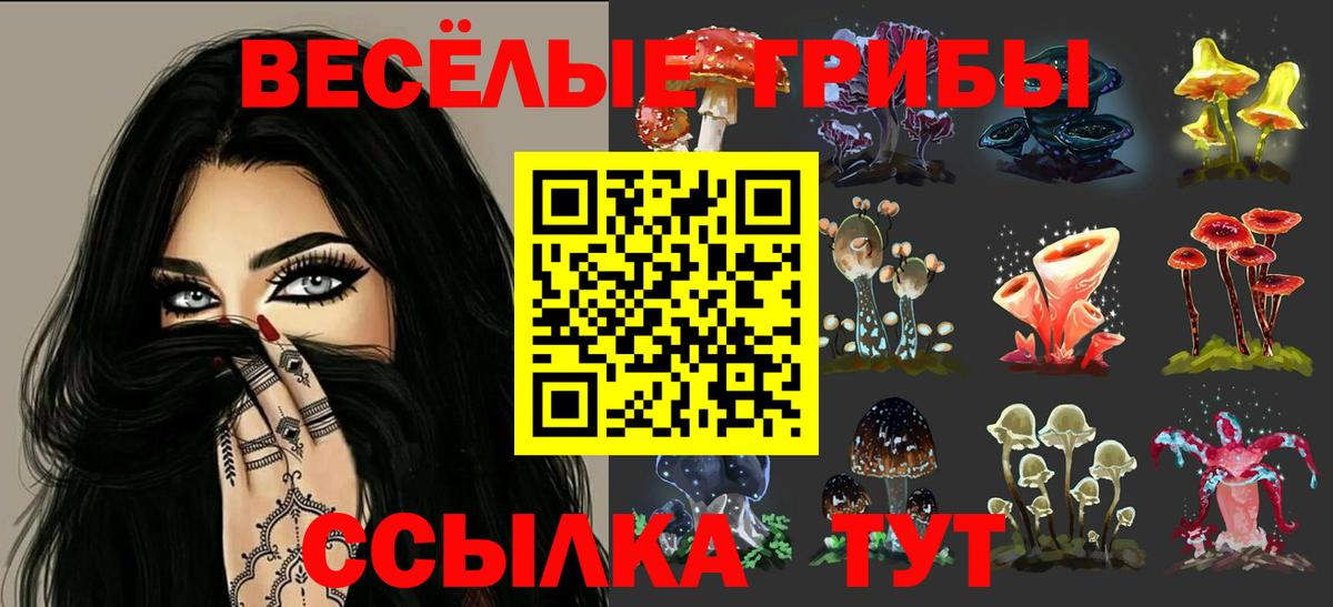Псилоцибиновые грибы GOLDEN TEACHER Ейск